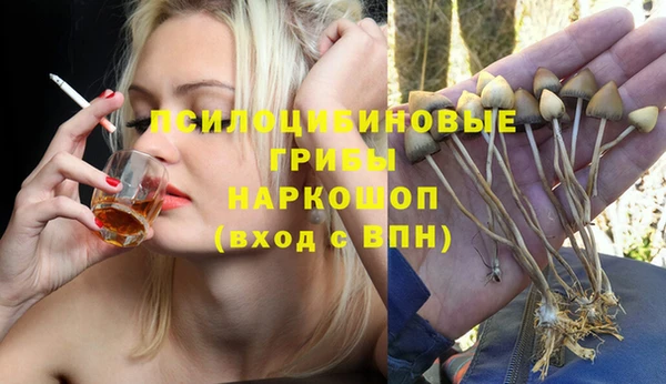 герыч Пестово