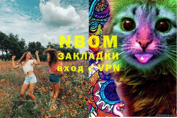 герыч Пестово