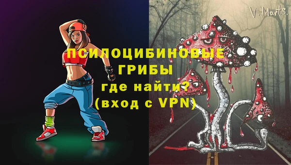 герыч Пестово