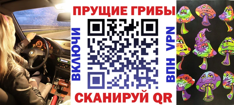 Псилоцибиновые грибы Psilocybine cubensis OMG рабочий сайт Чита